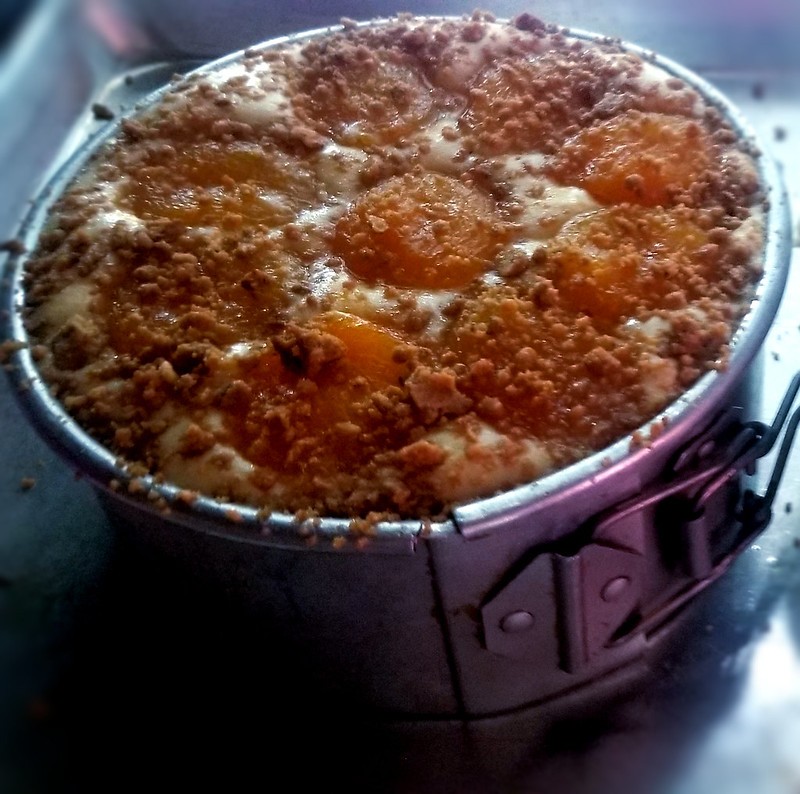 Drunken Apricot in baking pan